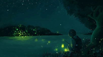 夜晚的萤火虫