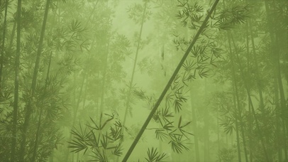 热门夏日竹林动态桌面壁纸图片 热门动态壁纸下载 元气壁纸