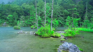 绿草河流