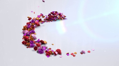 深圳市实验幼儿园花朵节