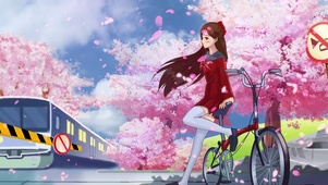 4k唯美少女樱花火车