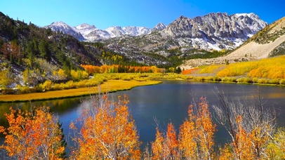 秋天高山湖畔红叶