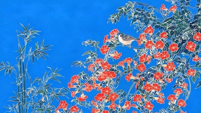 护眼小清新