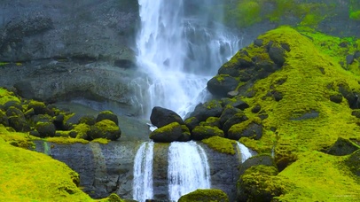 绿林高山流水