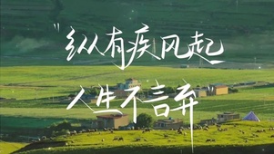 人生不言弃