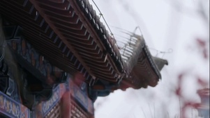 国风春意