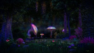 雨夜神秘森林