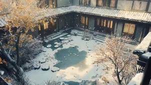 冬日庭院黄昏雪花落叶
