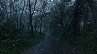 舒适雨夜雨滴屏