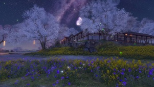 古风月夜樱花