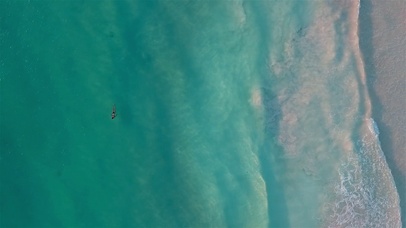 云游大海