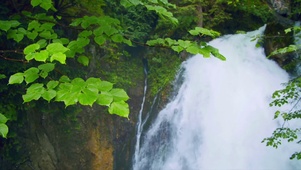 绿草流水