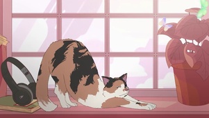 喵酱