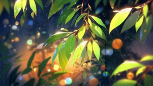 太阳雨中绿叶