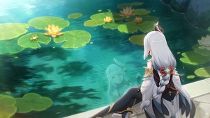 荷叶池塘