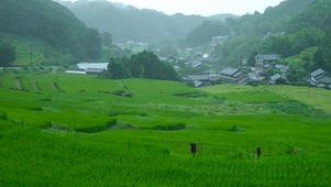 雨天乡村田园