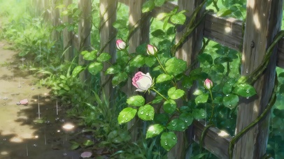 唯美绿叶月季花