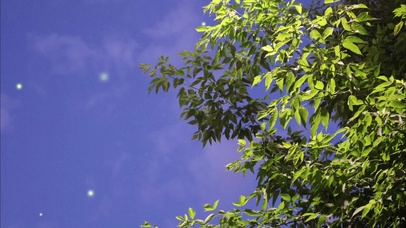 温柔的晚风是否让你也停留片刻呢