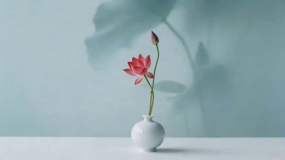 治愈荷花