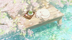 花台茶歇小猫