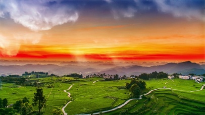 春天里的田野夕阳红