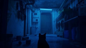 雨与猫