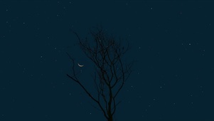 孤独地夜晚