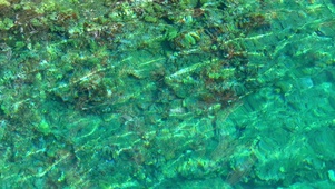 一汪清泉 4K