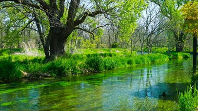春天绿草水流