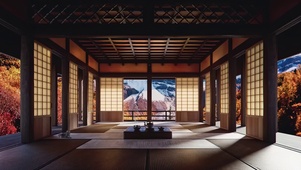 屋外落叶