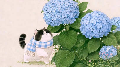 傲娇古灵精怪小猫