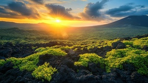 落日火山岛清新绿植