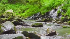 绿林山涧