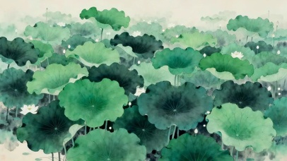 荷花田田