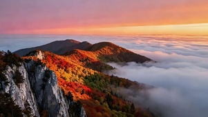 秋日高山彩林