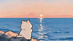 海边猫咪
