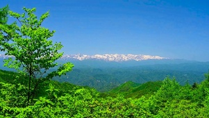 瞭望夏日雪山