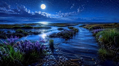 静谧月夜星空湿地栈道
