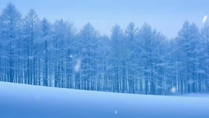 漫山遍野 白雪皑皑