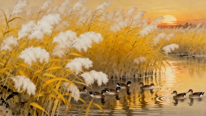 晚霞芦苇小鸭