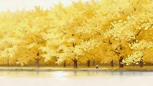 秋天湖边银杏树