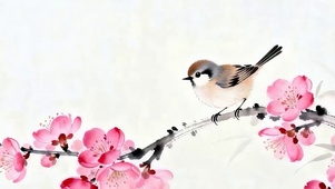 小鸟站着树枝带鱼屏
