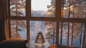 冬日的窗边景色
