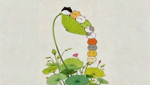 荷叶上的猫咪