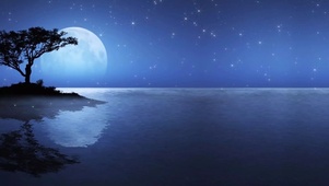 唯美夜景河畔