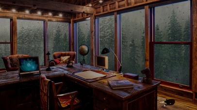 窗外大雨と猫咪