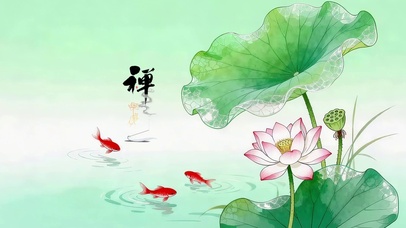 禅意荷花