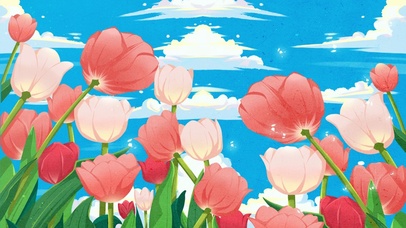 唯美可爱百合花