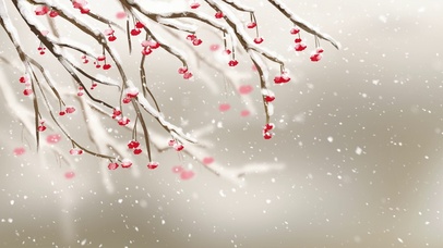 白雪覆梅 红装素裹