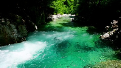 夏日清凉护眼绿林溪谷